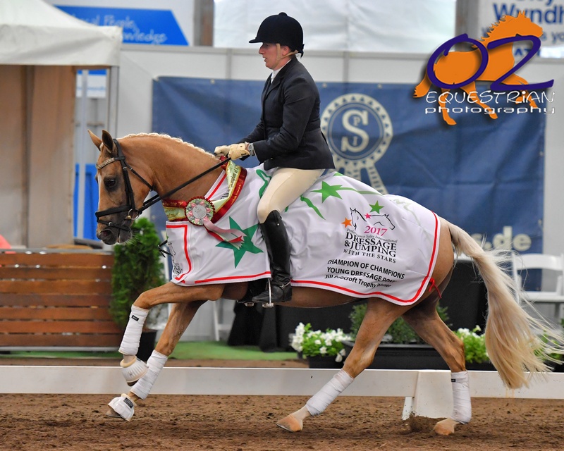 Dressage and Jumping with the Stars wrapup Equestrian Australia